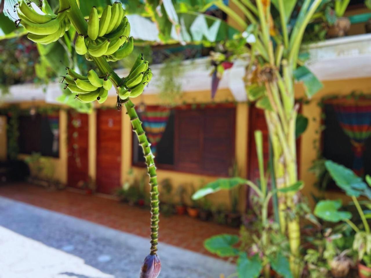 Hotel Casa Del Mar Mazunte Santa María Tonameca Zewnętrze zdjęcie